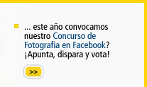 Ir al Concurso