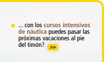 Ir a los cursos
