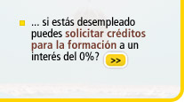 Ir a la noticia