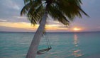 Elige tu destino: Baleares, Canarias, el Caribe o un crucero por el Mediterr�neo. Este verano viaja con el RACC al precio m�nimo: Lanzarote desde 361 � o Tenerife desde 486 �.